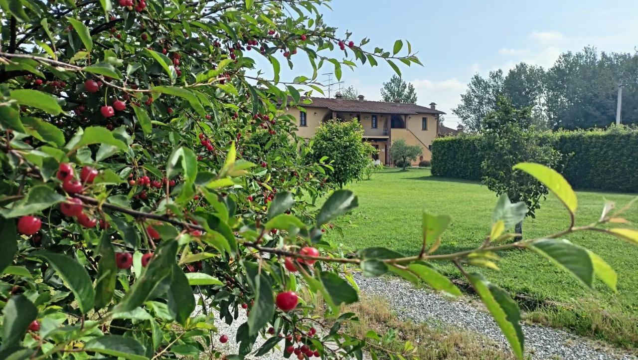 Il Chiassetto Agriturismo No Kids Villa Cascina Exterior photo